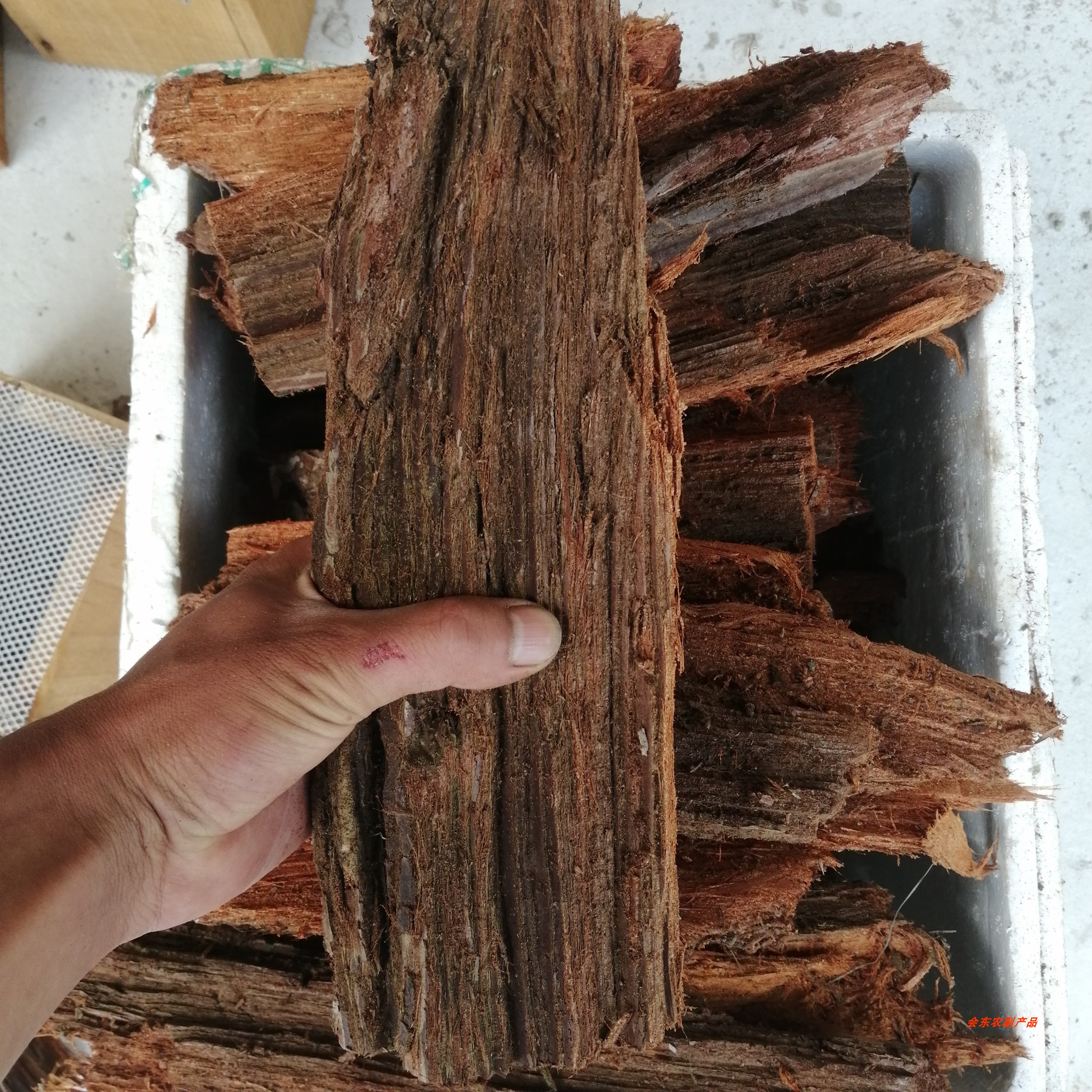 树皮丁家院子胡蜂黄筑巢材料红娘朽木木杉一斤干花