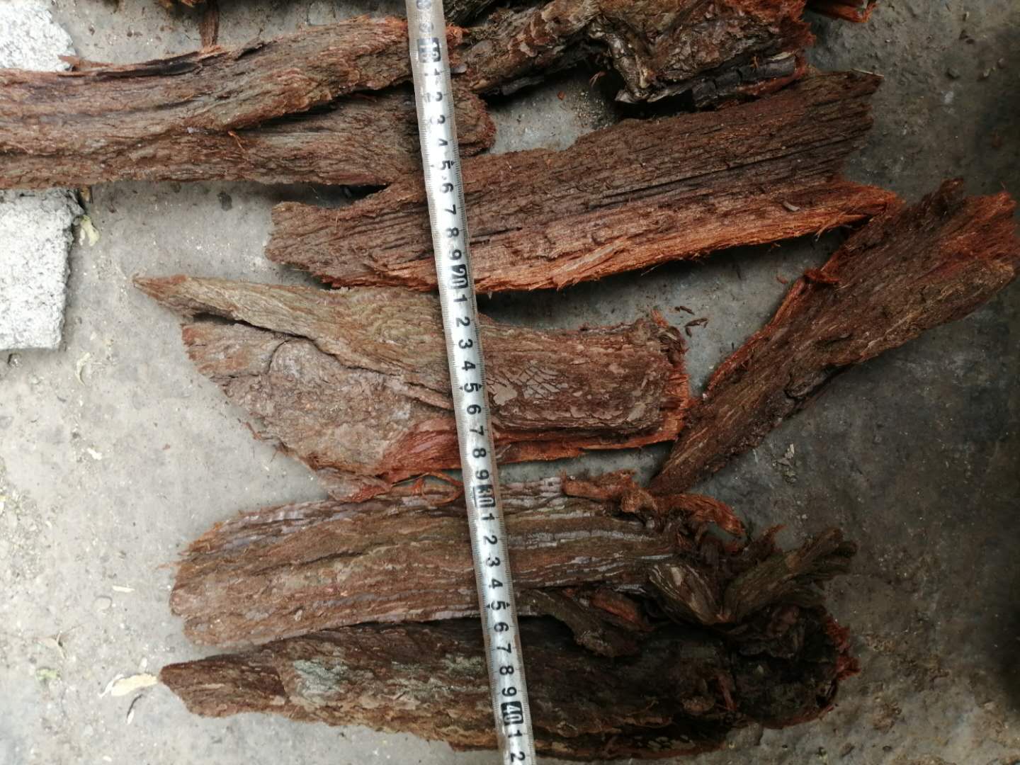 丁家院子胡蜂黄脚筑巢材料沙树皮红娘朽木杉树皮22一斤包邮红安树