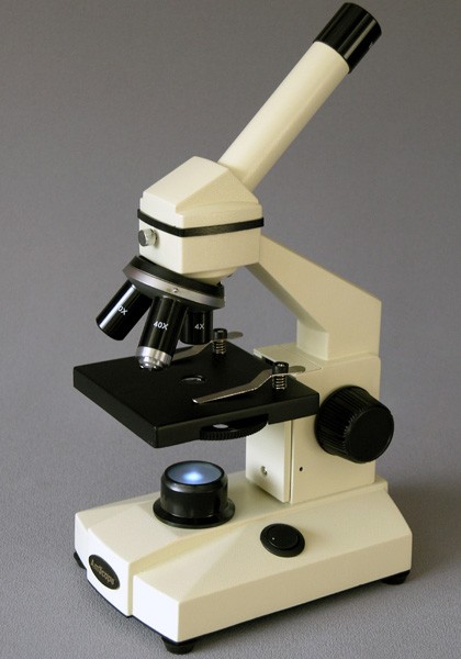 高尔基复合体显微镜图片