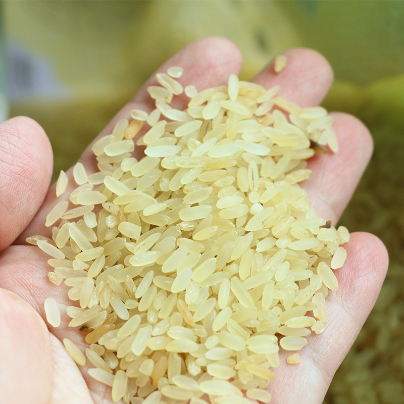 散装五华菩米1份10斤新客家特产手工制作客家熟米蒸谷米非真空包