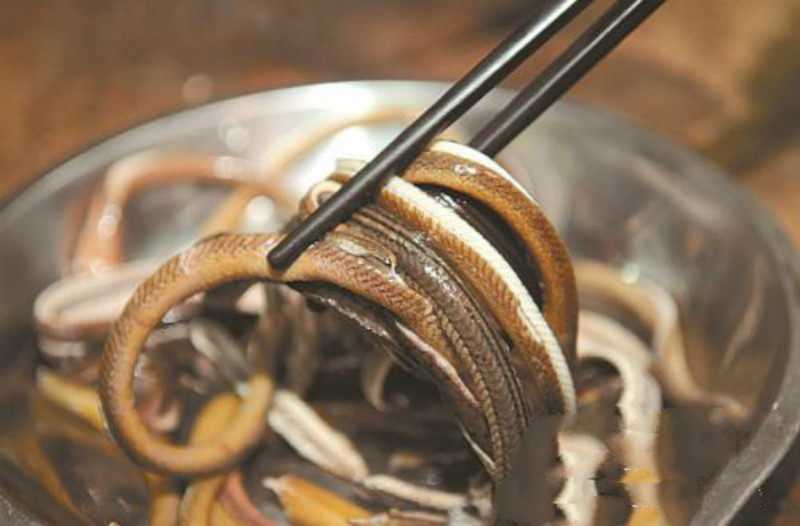 黄鳝新鲜现划鳝丝500克鲜活小长鱼丝河鲜小鳝淡水鱼类