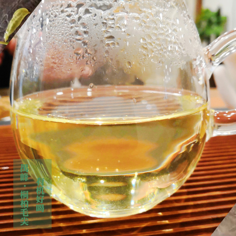 2022春茶禺峰桐柏玉叶野生茶山山野雨前特级其它绿茶