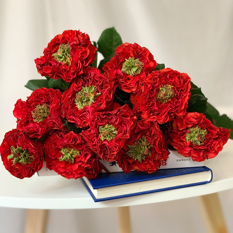 yoyo花花世界稀有玫瑰玫瑰红红色小怪兽鲜花鲜花速递同城