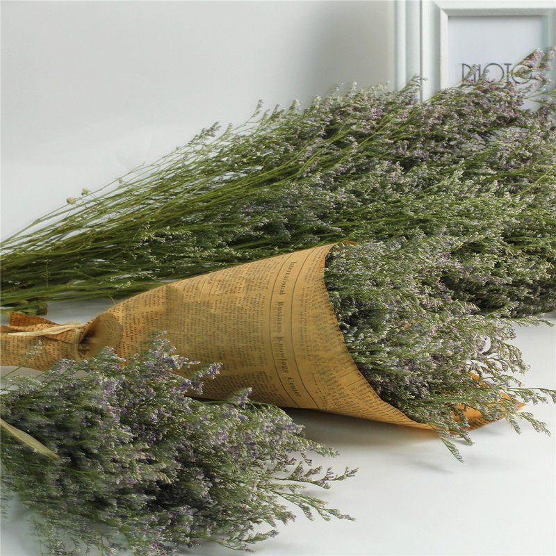 干花云南情人草大束勿忘我家居摆设小清新装饰鲜花干花