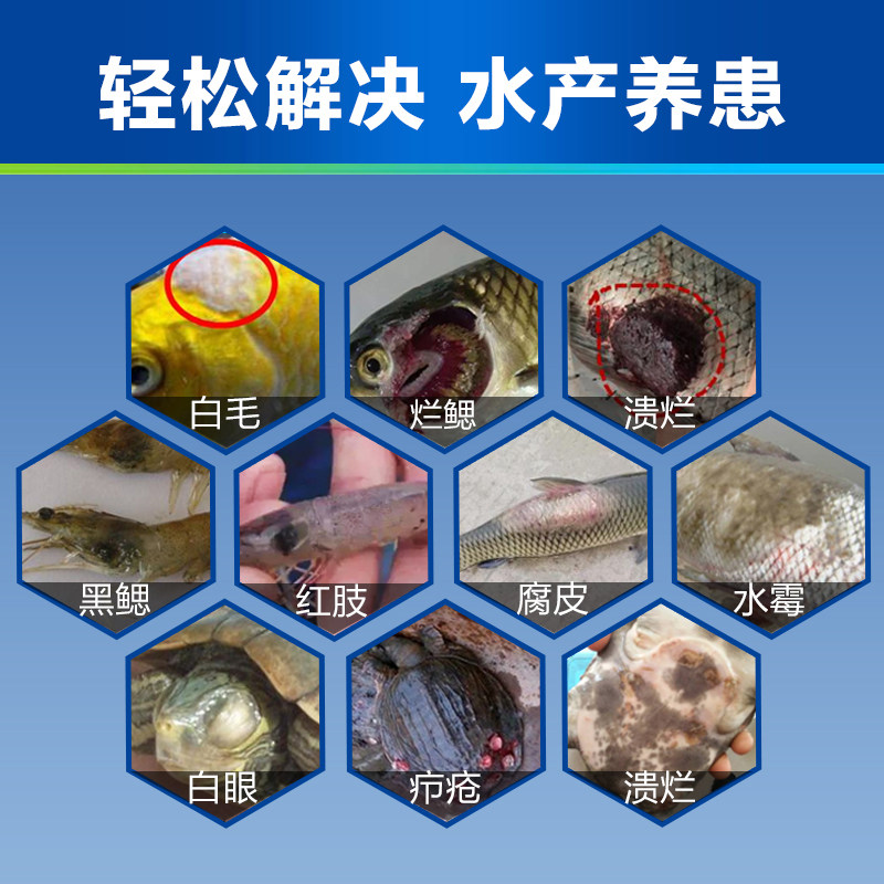黄粉金鱼水族鱼缸杀菌日本锦鲤热带鱼病药观赏鱼鱼药万能疾病治疗