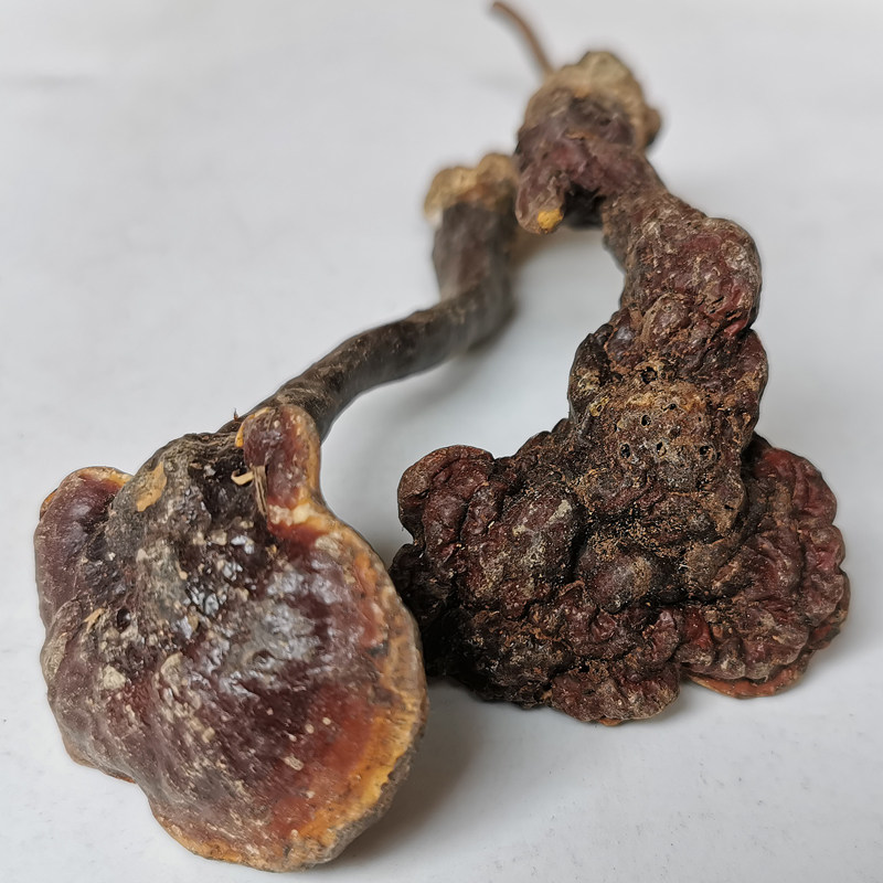 灵芝干货纯野野生整枝赤芝红芝丹芝小赤林芝整枝灵芝