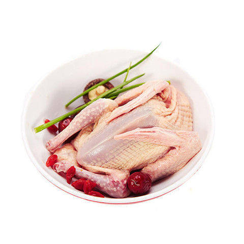 鸽子特惠正宗农家散养乳鸽当天现杀新鲜孕妇乳鸽