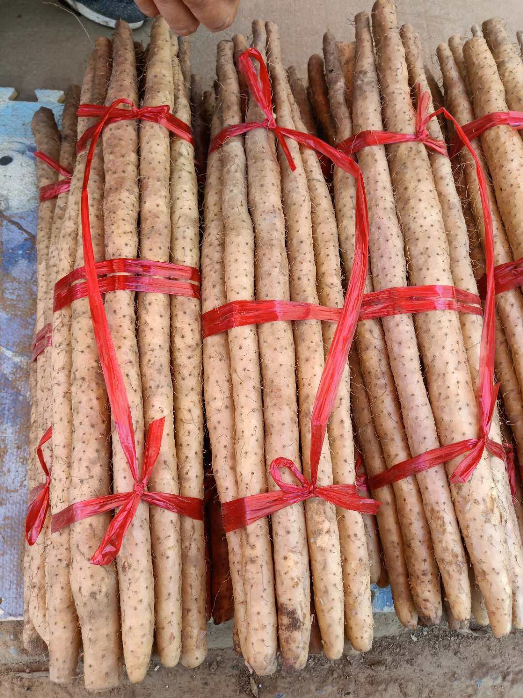 山药礼盒盒装河北正宗小白淮山新鲜现挖现发新鲜山药