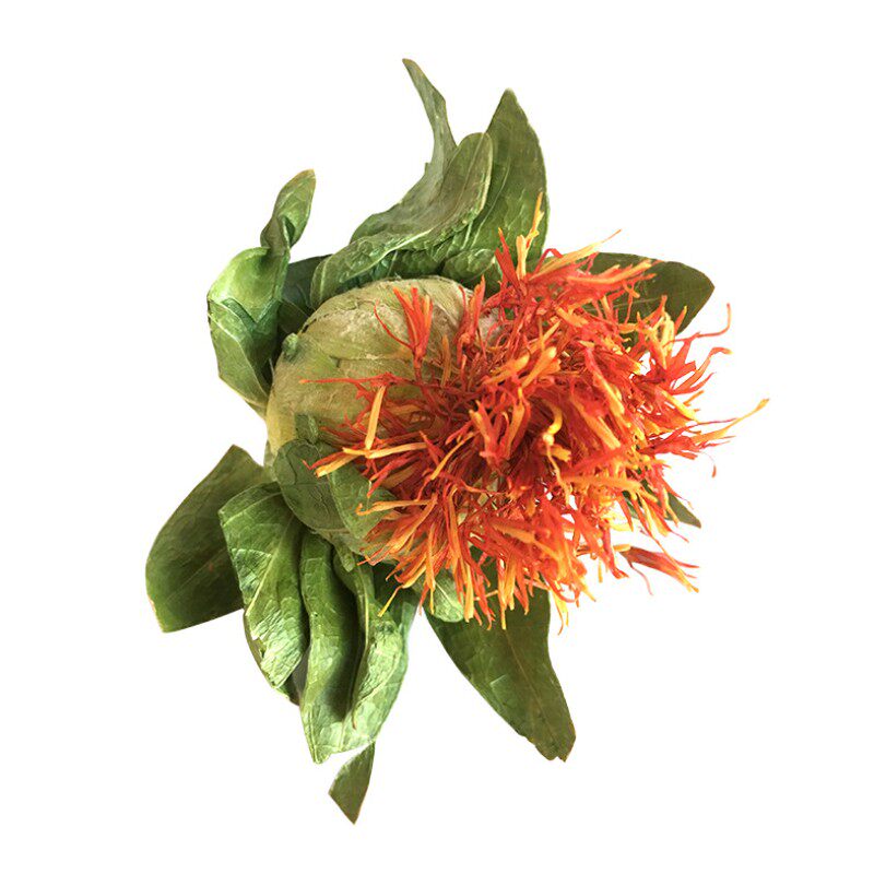 野生西域藏红花成朵草红花果养生花茶菠萝天然藏红花