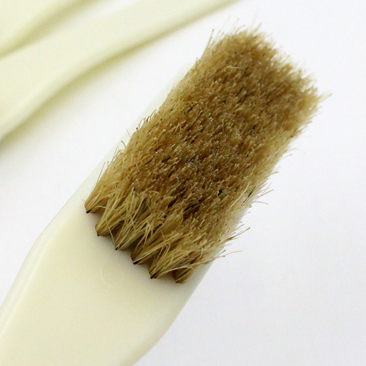 毛刷鞋刷猪鬃衣物刷不清洁洗衣塑料去渍长柄衣物刷