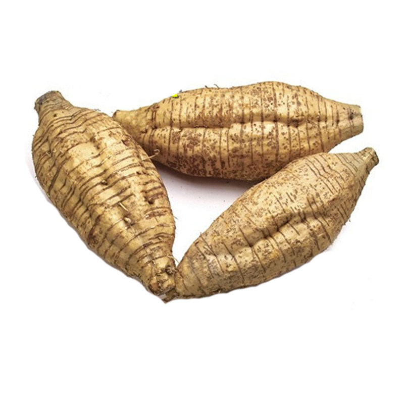 新鲜生葛无渣野生葛根广西和平粉葛鲜绿色煲汤其它