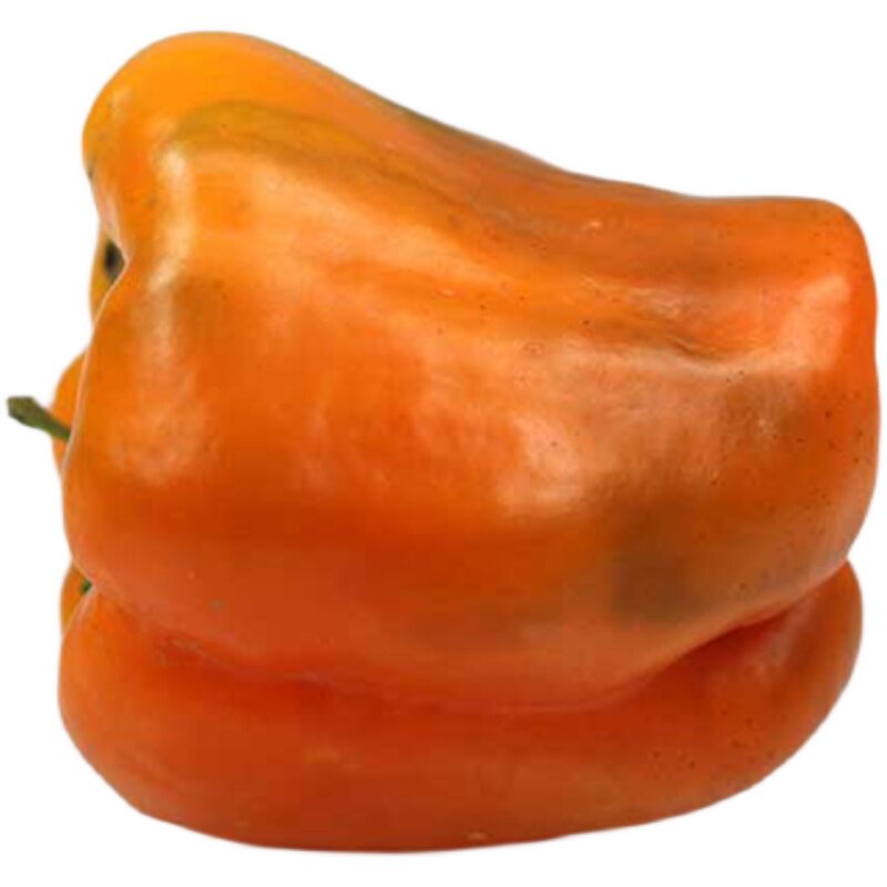 传家宝辣椒橙色铃铛自留10粒5元18元包邮农技服务