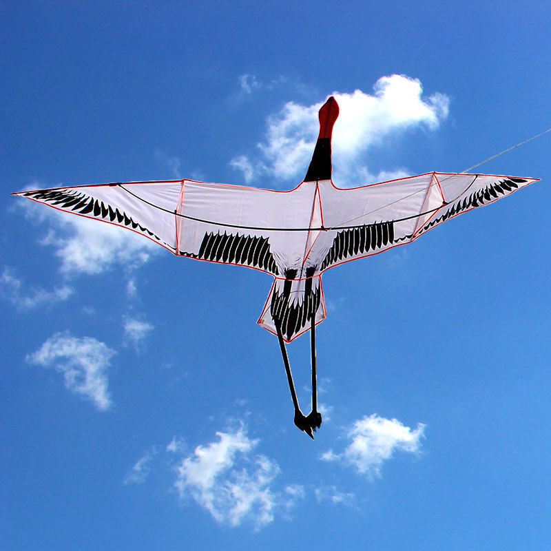 风筝好飞老鹰微风易飞天鹅天鹅海海燕鸟前撑杆风筝