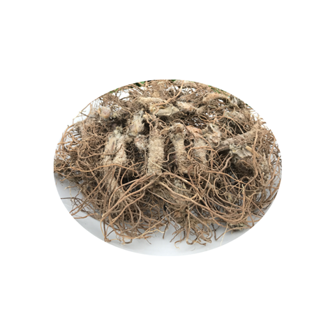 野生生地地胆头广东胆头干品白花地胆斩头500g其他药食同源食品