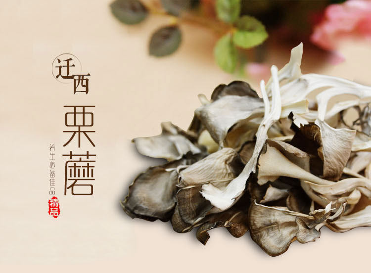 迁西栗蘑干野生100g干货菌灰树花 推荐