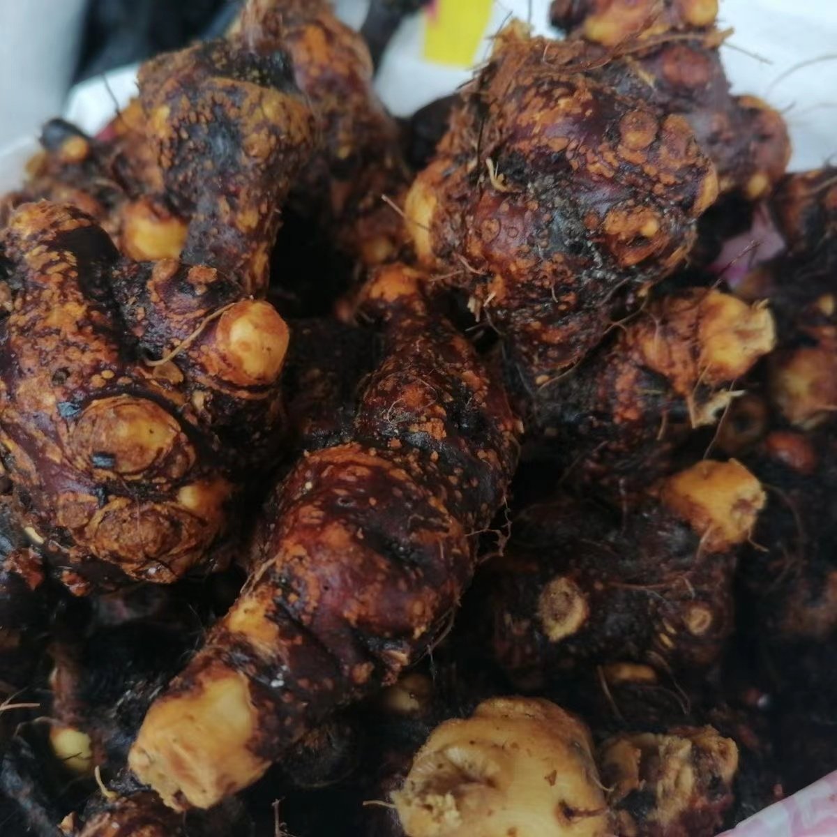 荞麦开锁500g野生三七金桥金开锁新鲜包邮现1斤其他药食同源食品