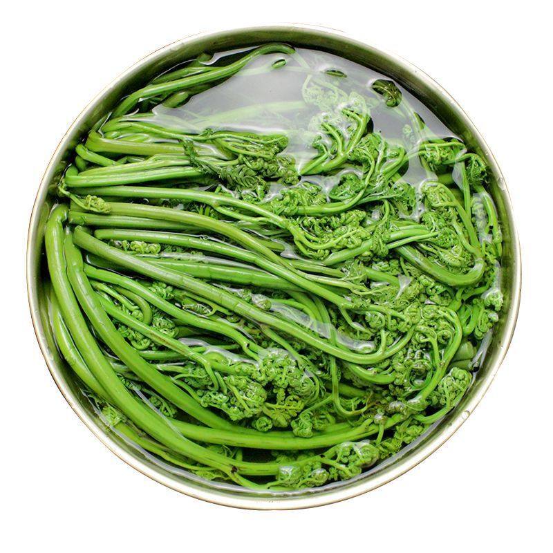 蕨菜头菜2斤野生猫爪龙头菜新鲜拳头清水保鲜腌制