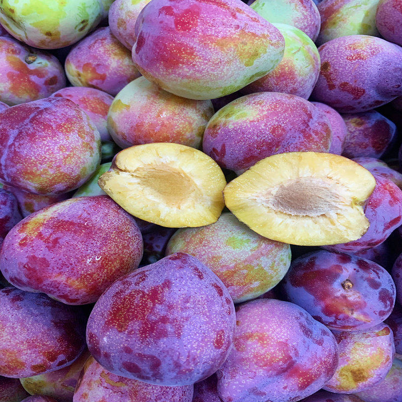 李子东北干核牛心鸡心吉盛干碗香蕉酸甜大红李子