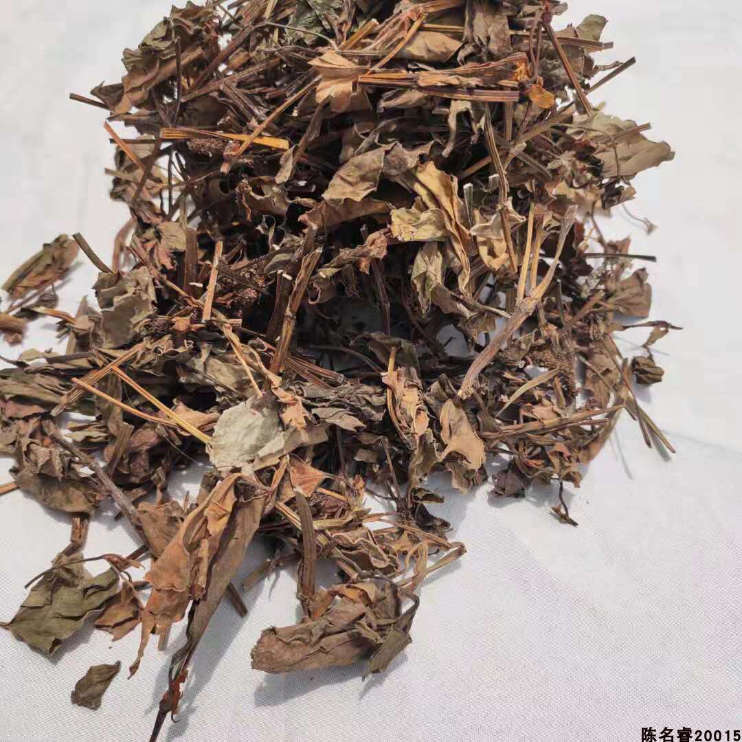 鱼腥新鲜野生草茶草干叶子耳根干叶新货自家人鱼腥草