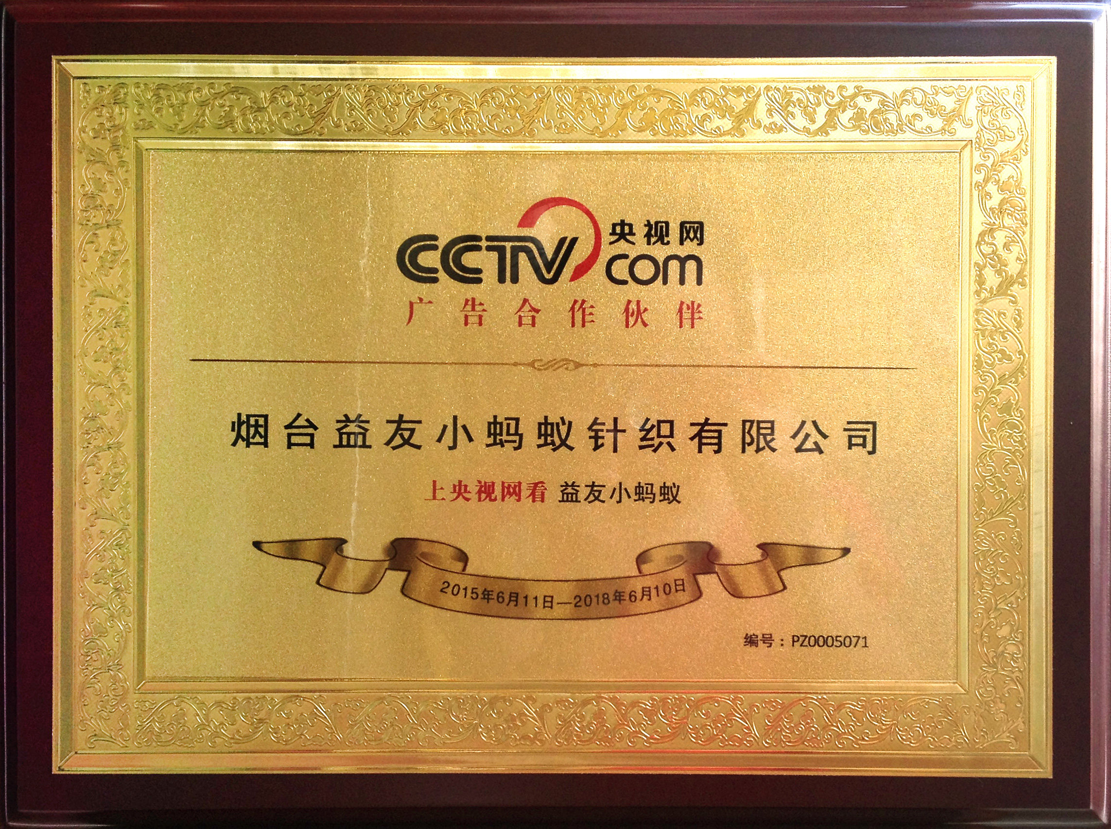 木框经销加盟商会行业协会牌匾制作cctv广告合作伙伴奖杯