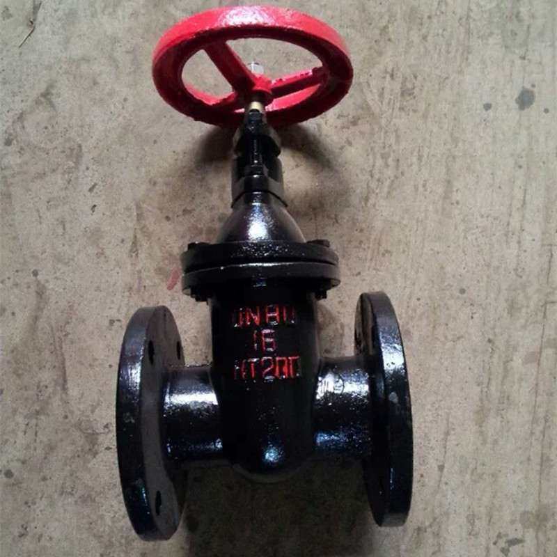 厂家直销天津大站力牌z45tw10铜杆铜芯灰铸铁闸阀