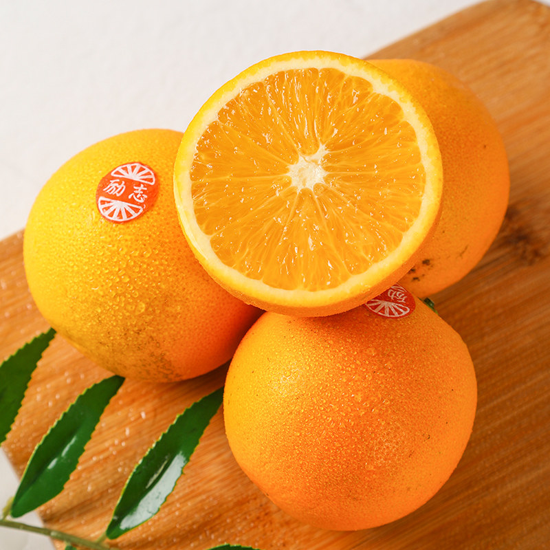 特级10斤装云南实建褚橙禇时健冰糖橙子新鲜诸储水果官方旗舰礼盒