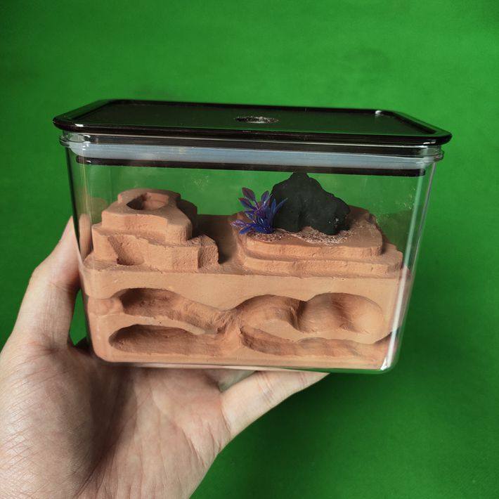 蚂蚁lzd1蚁巢石膏工坊蚂蚁