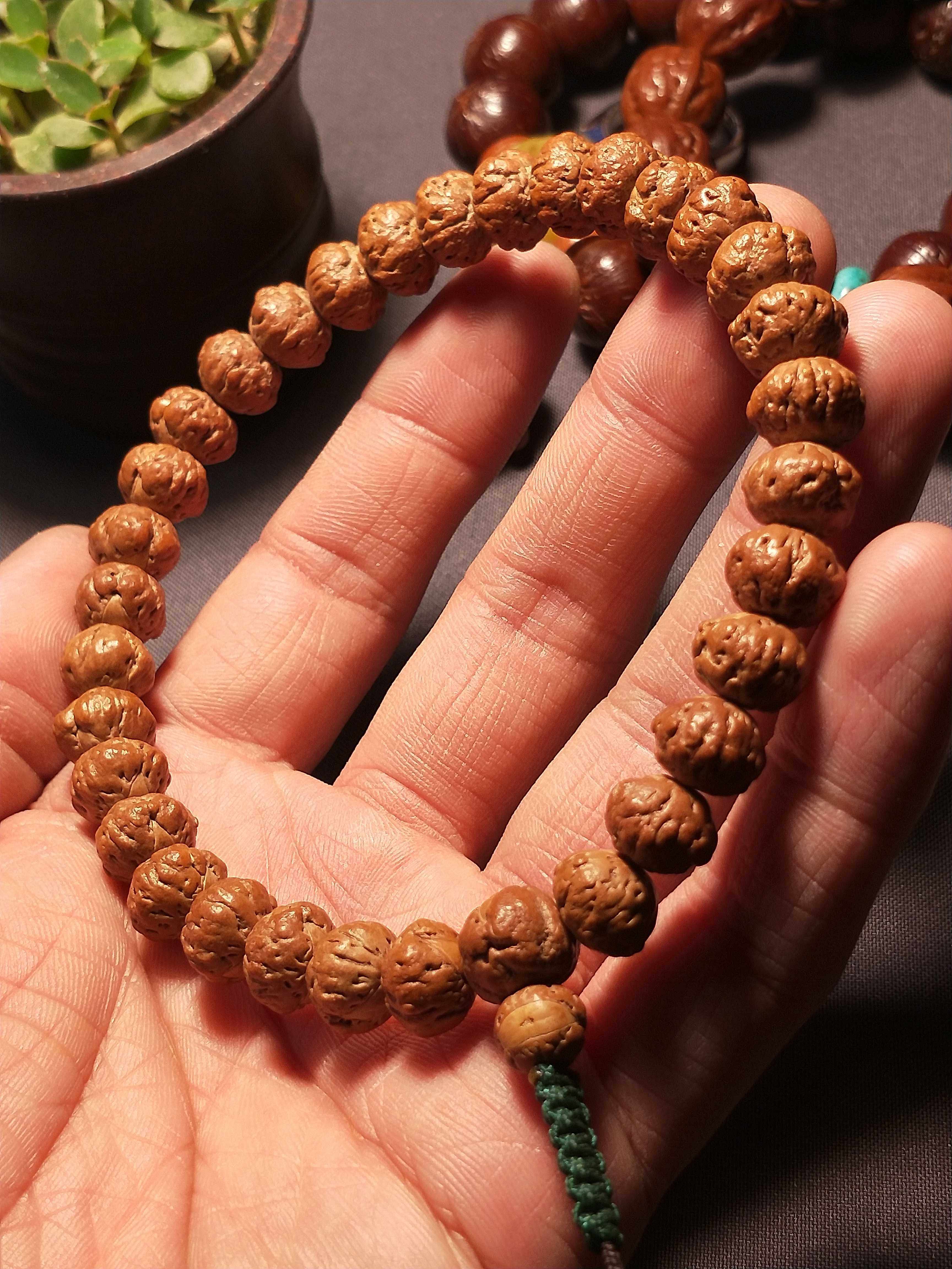 精挑同树矮桩肌肉酸枣核手串颗颗秒打手油润有光泽佛珠