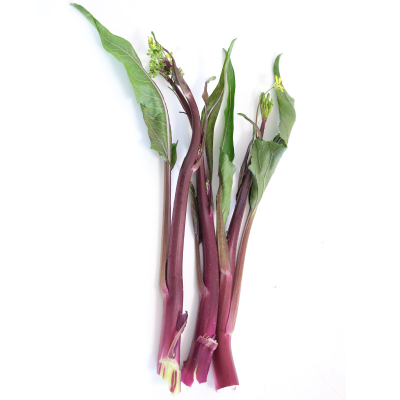 红菜苔新鲜湖北紫菜苔现摘洪山菜苔特产绿色蔬菜露天打霜5斤包邮