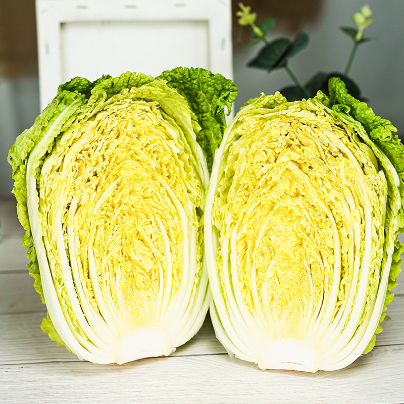 山东新鲜大白菜5斤当季农家蔬菜青菜整棵长白菜冬储蔬菜整箱包邮