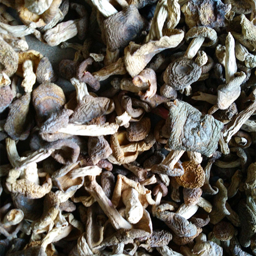 农家杂菇野生梨菇泥菇蘑菇干货武夷山食用菌250克香菇类