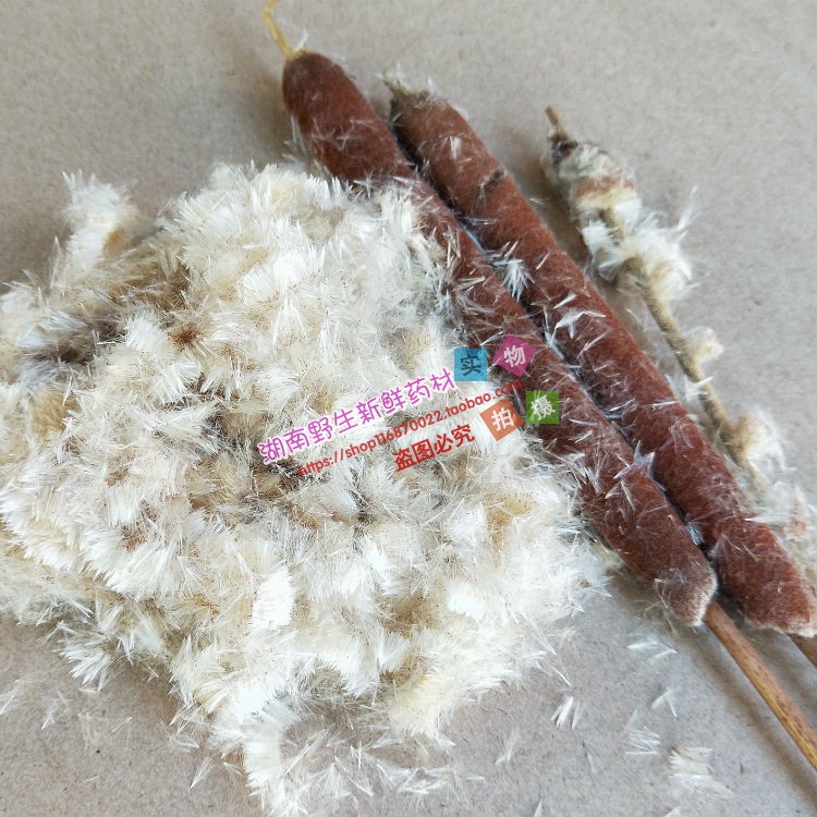 蒲棒干花可填充枕头 蒲棒绒 天然枕心 蒲棒枕芯香蒲绒