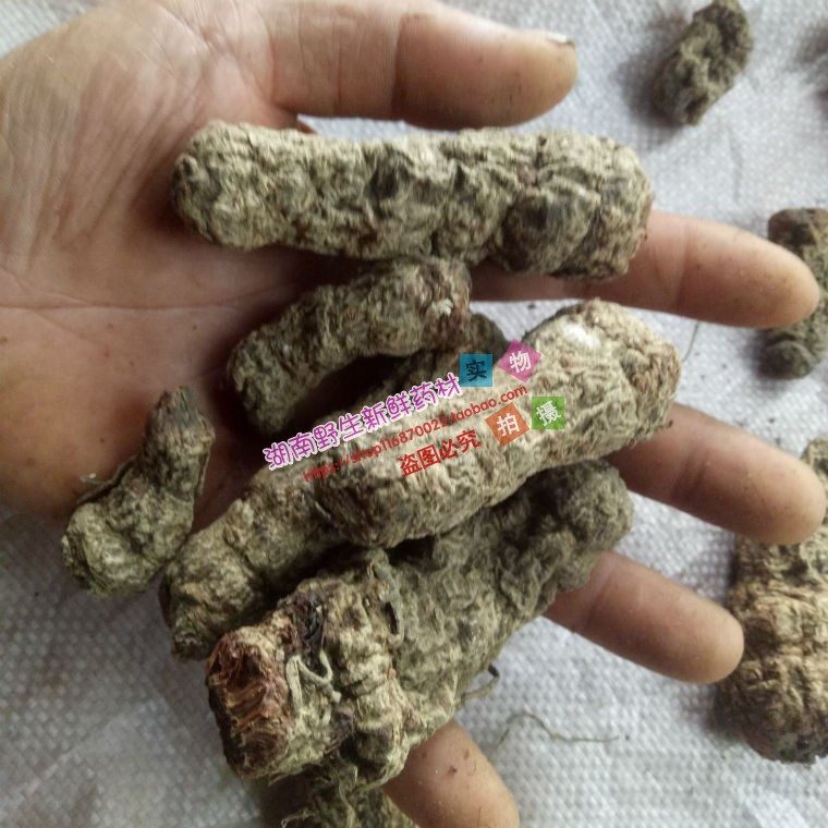 雪里见干品 野生中药材雪里见干货 野包谷 半截烂 烂半截50克包邮