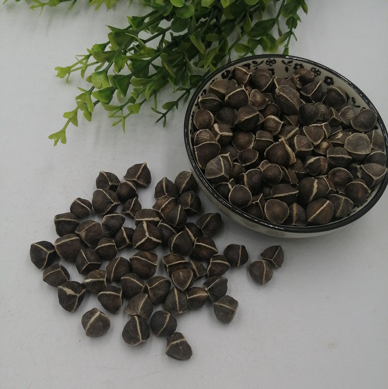 中药材500g辣木功效源自印度食用药用木子店内其他药食同源食品