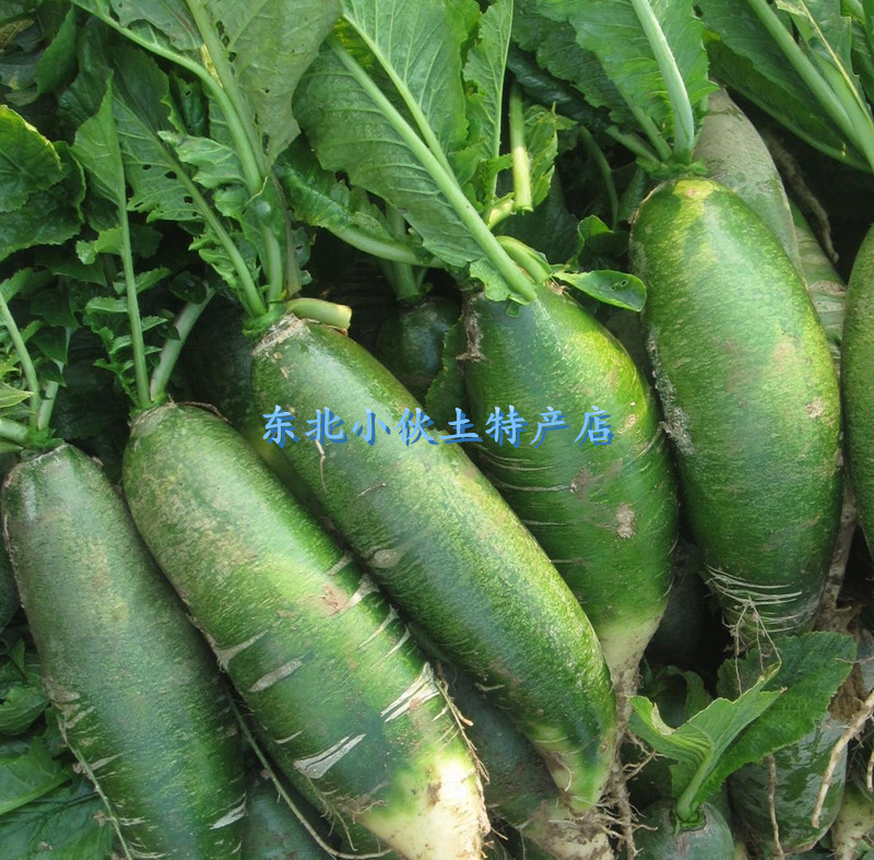 沙窝萝卜小伙东北特产新鲜蔬菜水果萝卜农家大青萝卜1000g2份包邮