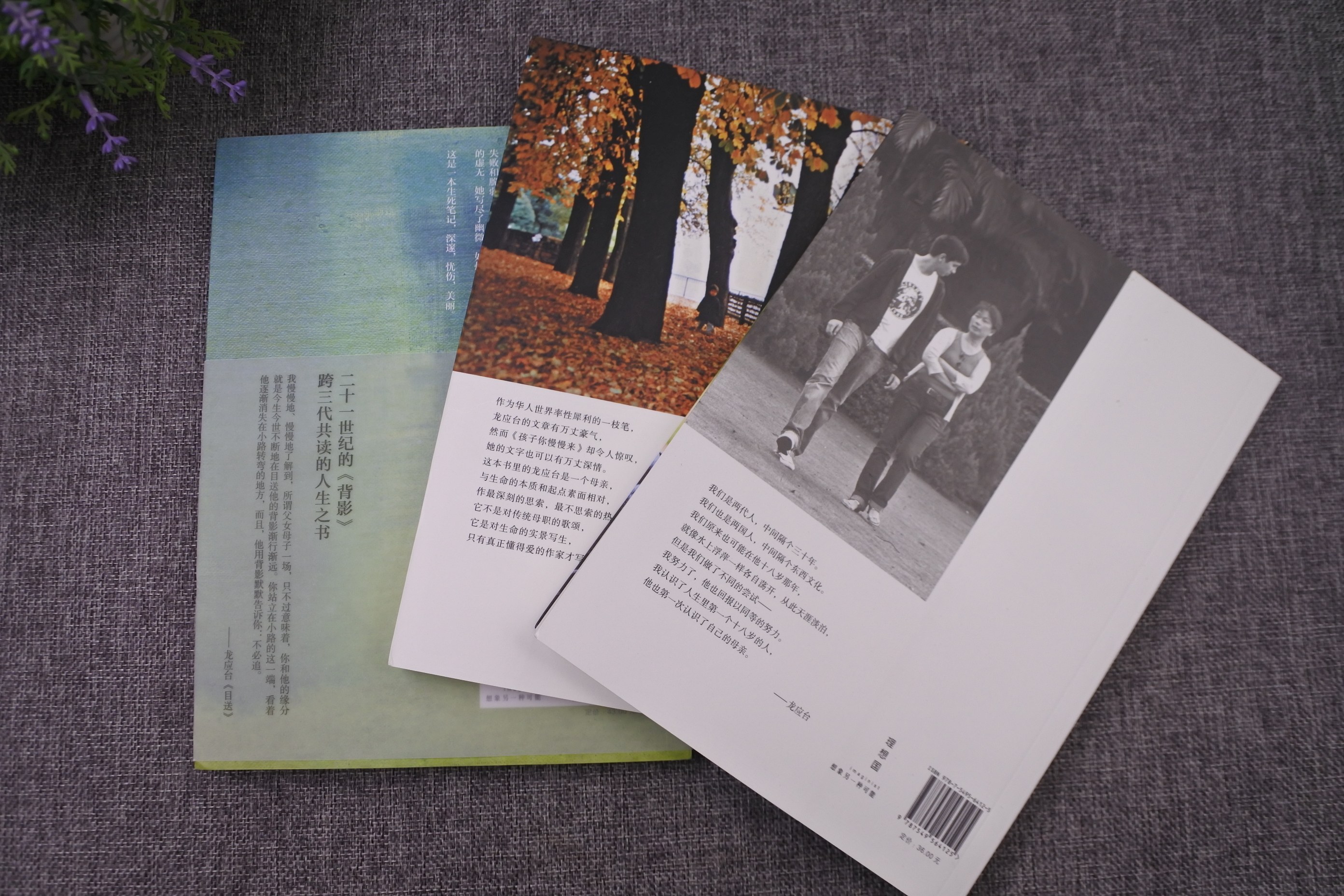 【现代】龙应台人生三书【详情领券】 目送 孩子你慢慢来