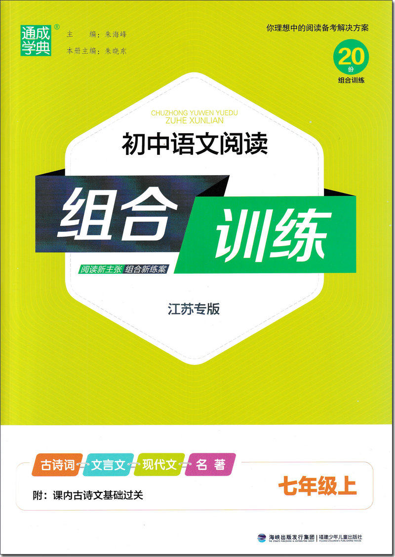 编版练习题部综合考点高频阅读理解现代文言文古诗词初一中学教辅