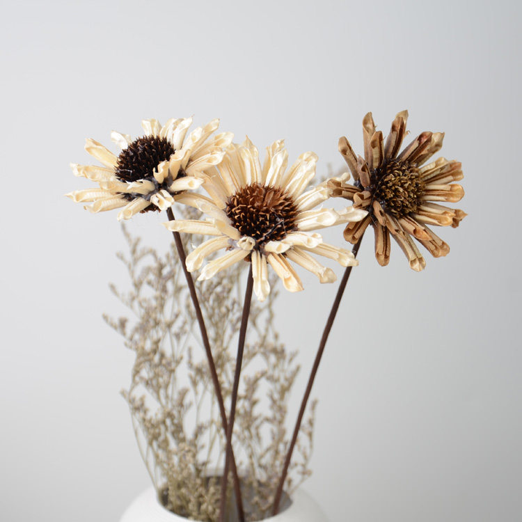 秋菊果壳粘花干花diy手工花真风干仿真花田干花