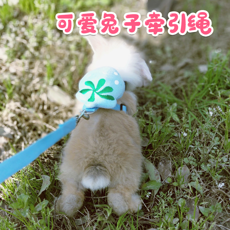 兔子宠物牵引兔兔用品绳溜兔绳带防挣脱兔绳
