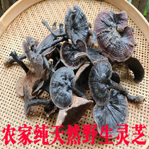 Jiulian Mountain pure natural Lingzhi wild lingzhi purple sesame-specific wild lingzhi whole branch 250g500g wild lingzhi