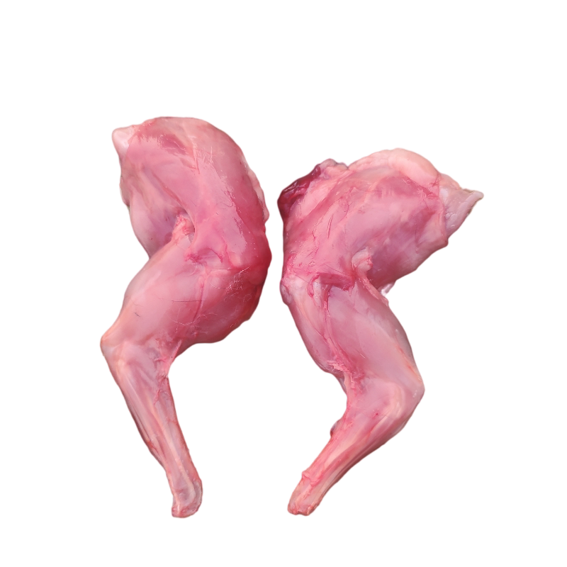 兔儿新鲜兔肉前腿4斤20条现杀兔腿商用规格其它生肉制品