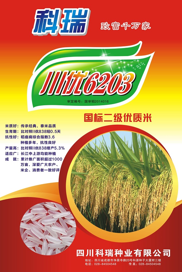 川优6203 水稻种子 经济包 500g/包 长谷子 泰米 超级