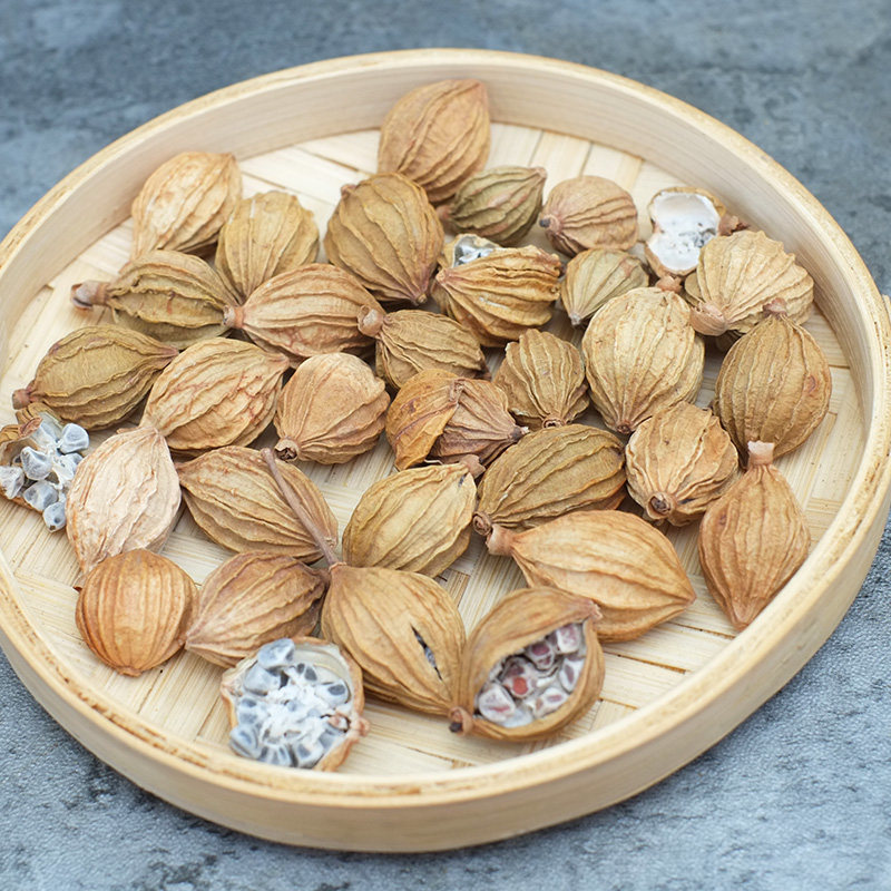 香料香砂仁沙500g包邮四川特产炖肉卤菜调料花椒