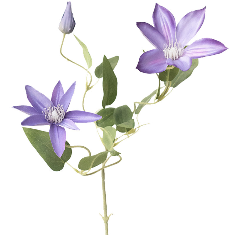 南十字星 北欧自然仿真花铁线莲 客厅样板间餐桌假花绢花铁线兰