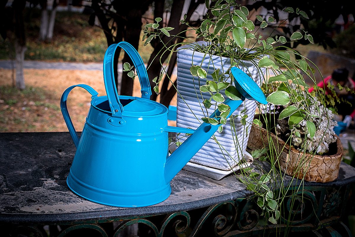 浇花喷壶大号种菜壶洒水壶热销欧美风园艺铁制洒水