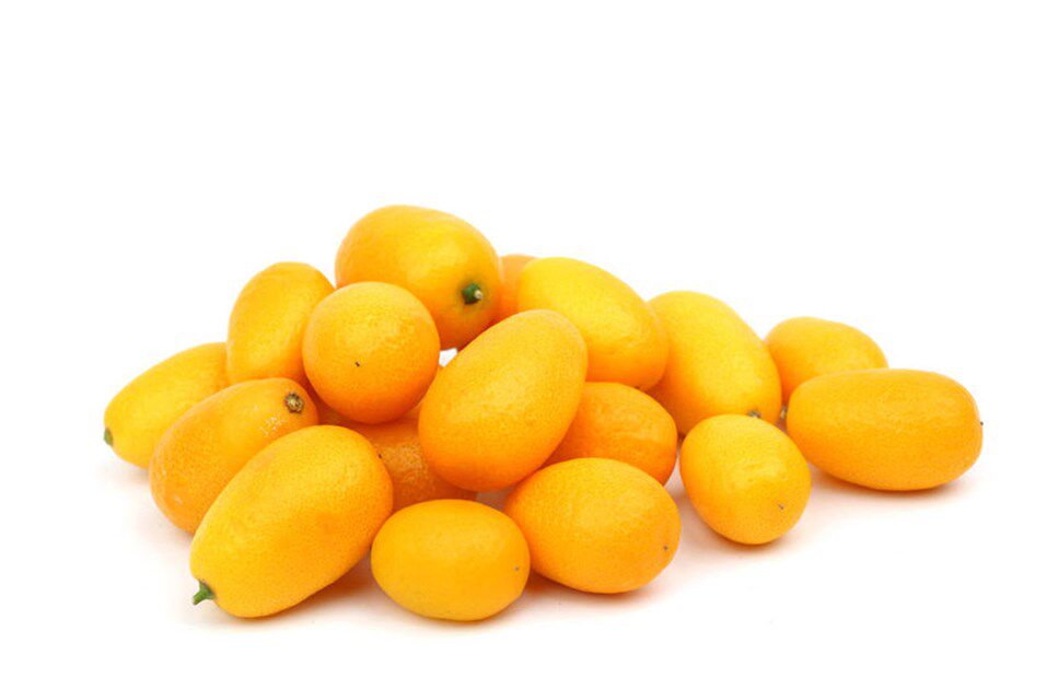 金桔盆栽带果室内四季年桔绿植结果客厅食用小金橘招财果盆景植物