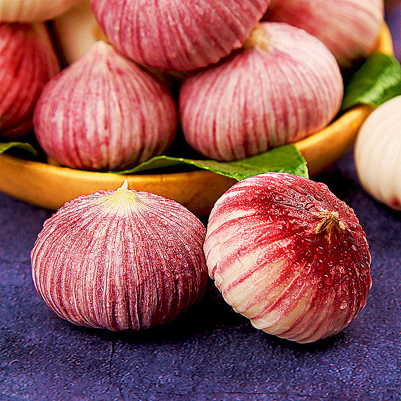 独头大蒜云南新鲜蒜紫红皮湿蒜独蒜5斤紫蒜大蒜