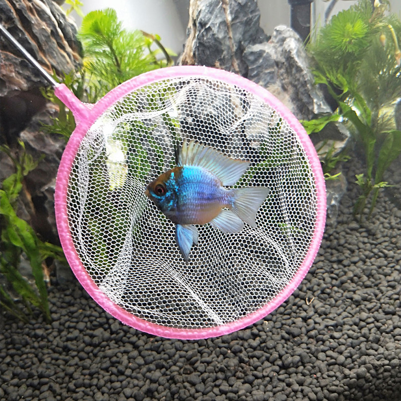 水族鱼缸专用鱼捞捞鱼网兜鱼网热带鱼观赏鱼渔捞小鱼捞渔网