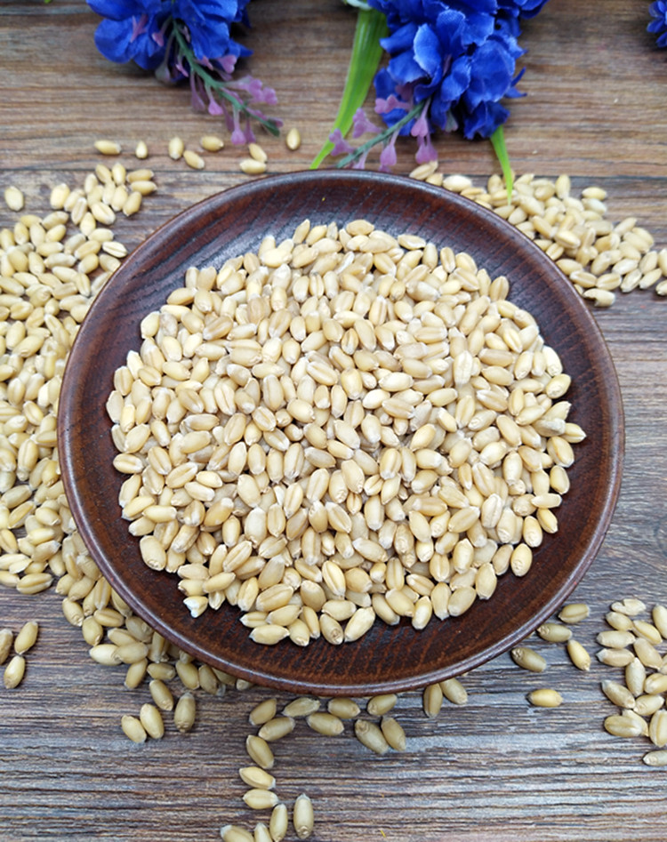 浮小麦 中药材小麦瘪子500g 农家散装浮小麦 自汗/夜间/盗汗虚