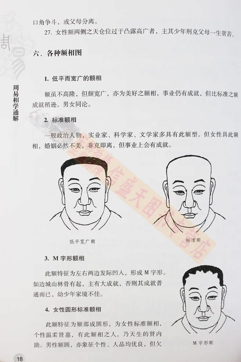 算命书籍面向学周易全书周易入门算卦周易占卜 八字算命 面相学看面